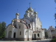 Дмитровский. Церковь Матроны Московской в Дмитровском