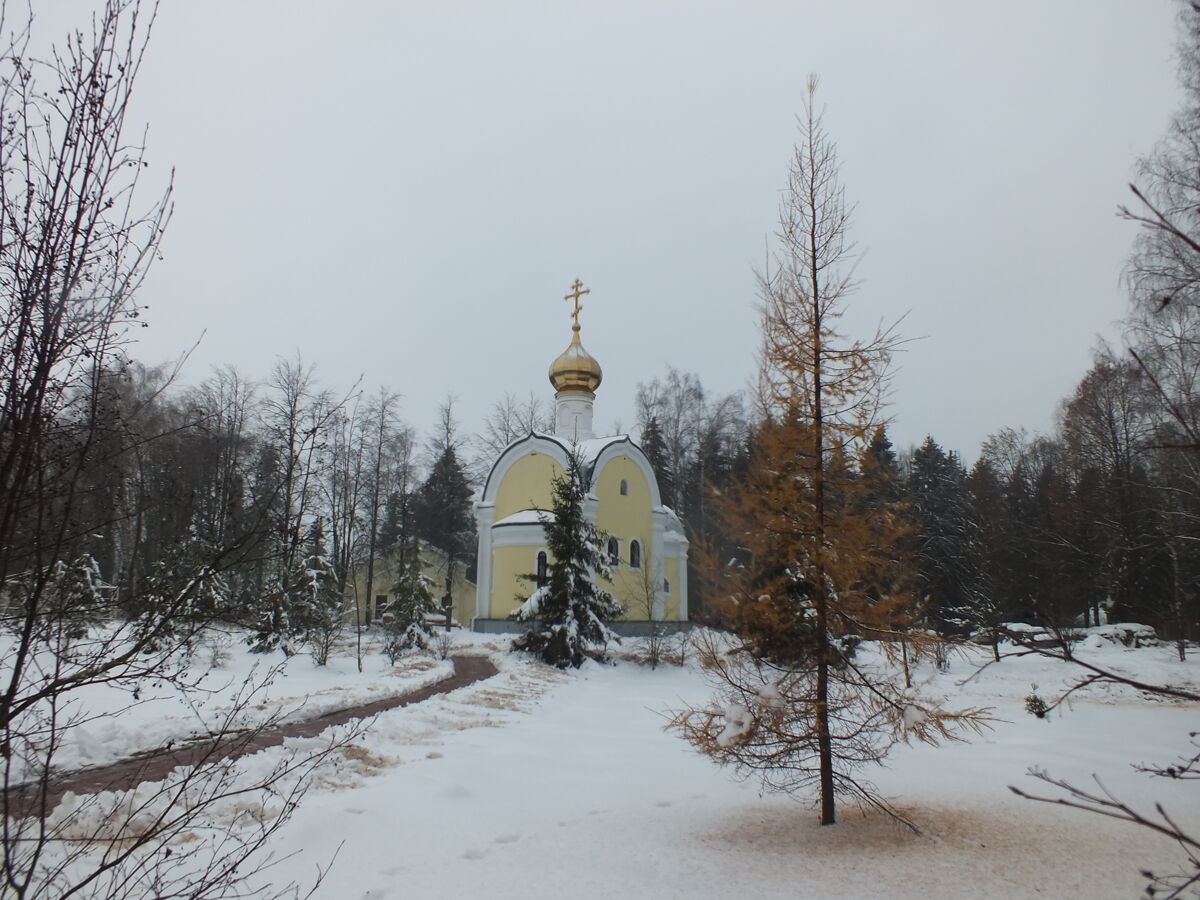 Часовня Луки (Войно-Ясенецкого), Хмолино (Истринский городской округ и ЗАТО Восход, Московская область). общий вид в ландшафте