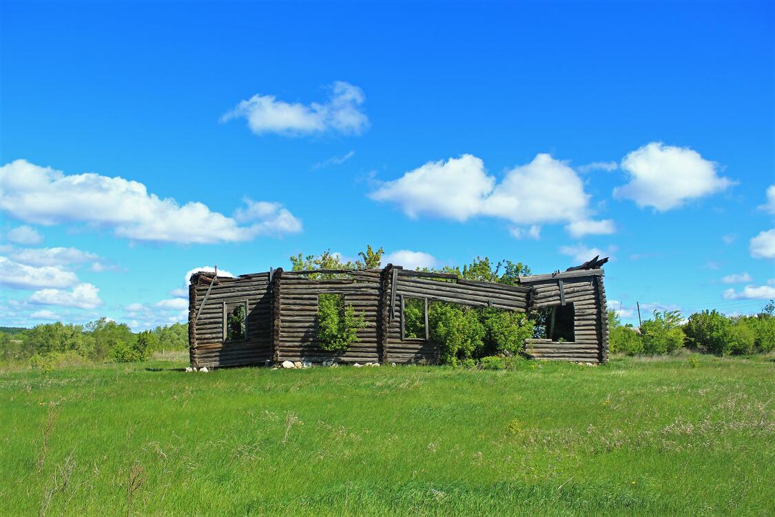 Церковь Казанской иконы Божией Матери, Пролейка (Елховский район, Самарская область). общий вид в ландшафте, Вид с юга