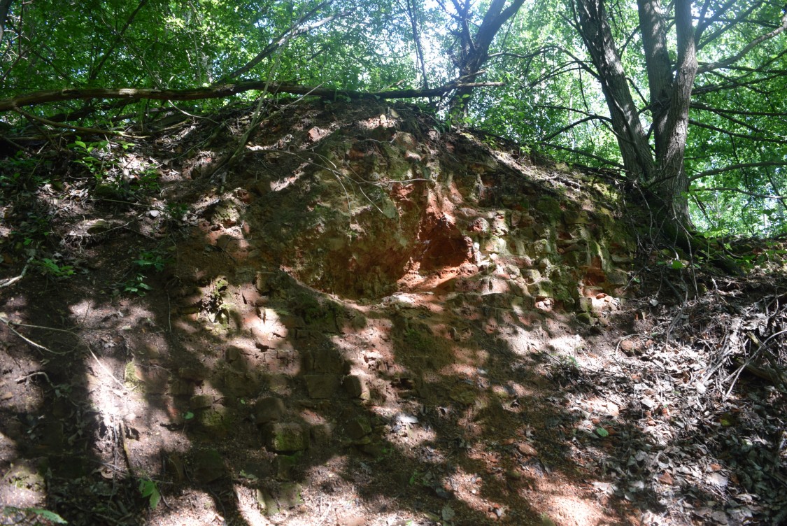 Церковь Тихвинской иконы Божией Матери, Павлово (Козельский район, Калужская область). дополнительная информация, остатки фундамента