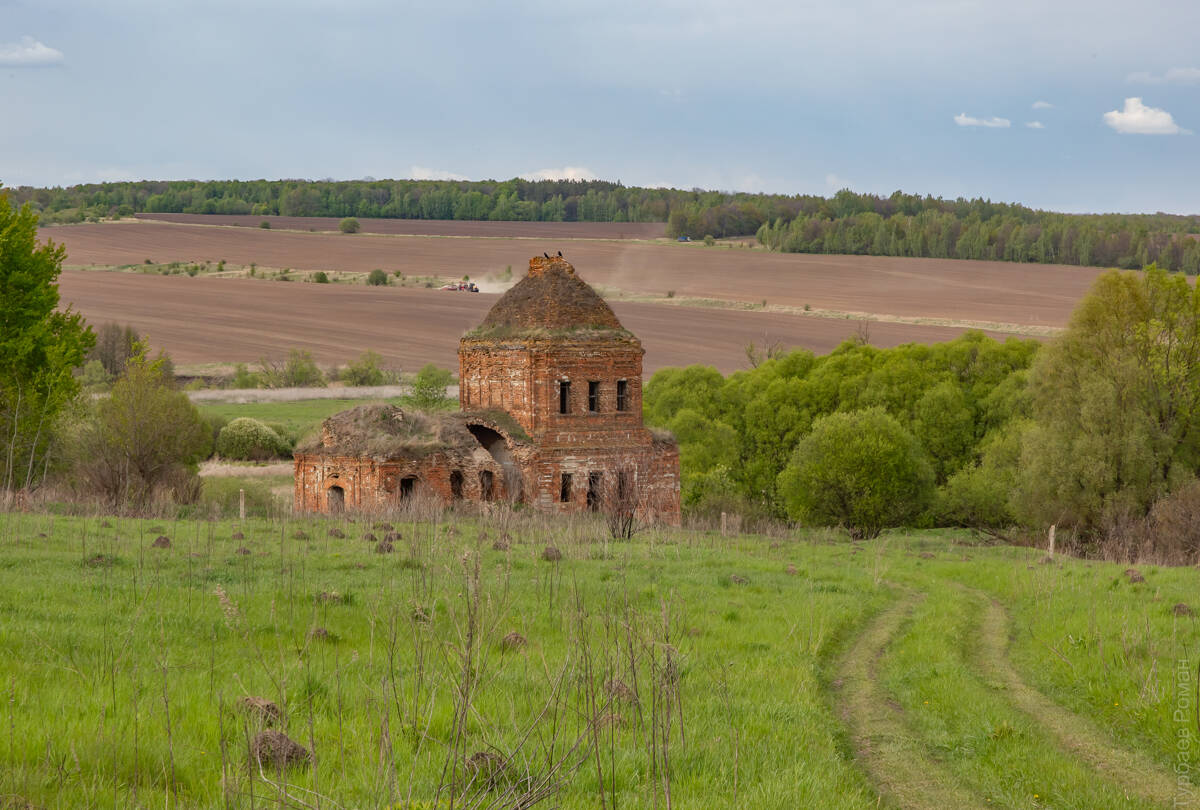 Церковь Спаса Всемилостивого, Спасское (Щёкинский район, Тульская область). фасады, Вид с юга