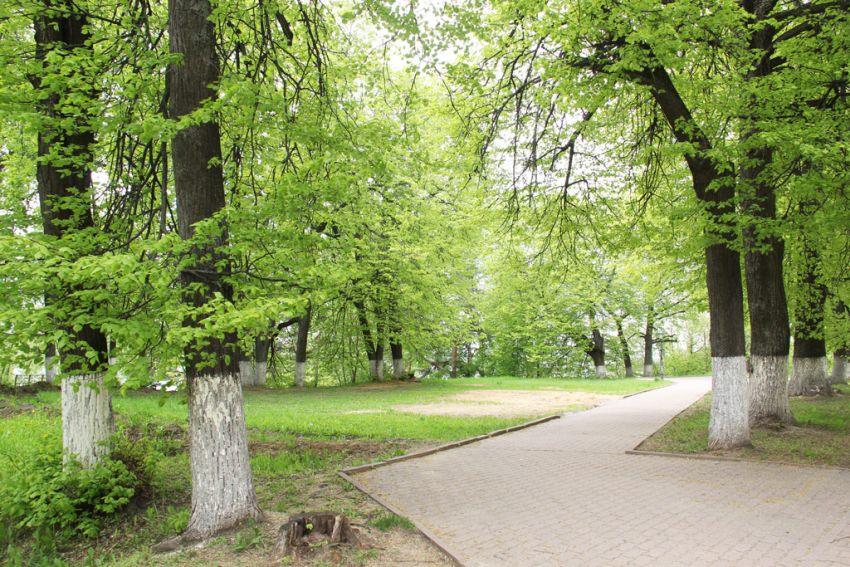 Церковь Всех Святых, Кострома (Кострома, город, Костромская область). общий вид в ландшафте, Место церкви. К