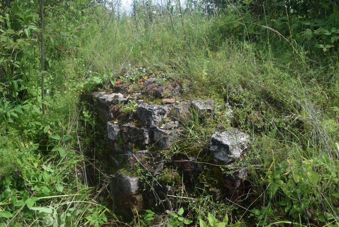 Церковь Рождества Пресвятой Богородицы, Лычино (Бабынинский район, Калужская область). архитектурные детали, остатки фундамента