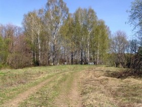 Космодамианский погост, урочище. Церковь Троицы Живоначальной