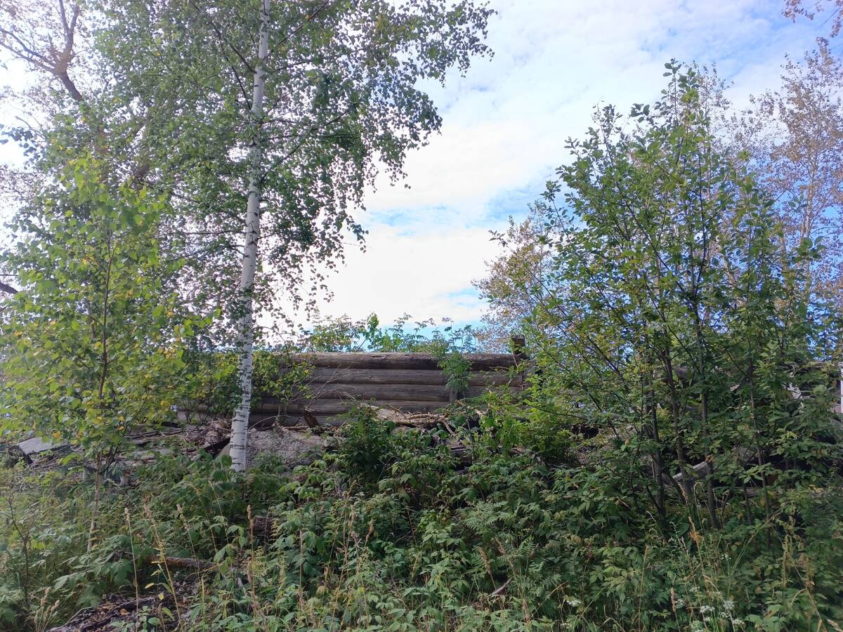 Церковь Андрея Первозванного, Андреевцы (Селтинский район, Республика Удмуртия). общий вид в ландшафте