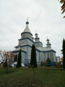 Церковь Николая Чудотворца - Кожан-Городок - Лунинецкий район - Беларусь, Брестская область