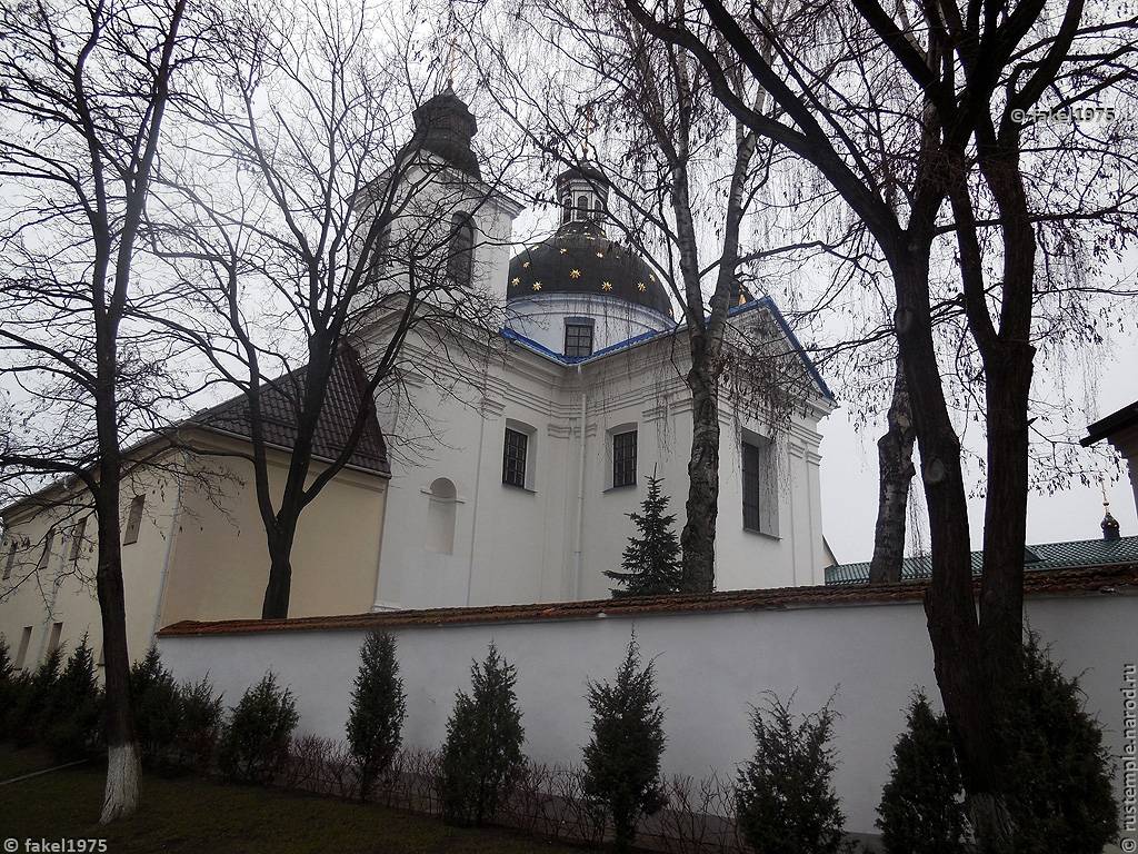 фасады. Рождество-Богородичный женский монастырь, Гродно (Гродненский район, Беларусь, Гродненская область)