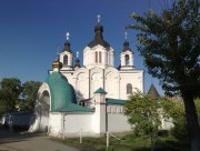 Подворье Всемилостивого Спаса Александро-Невского Ново-Тихвинского монастыря. Церковь Спаса Всемилостивого