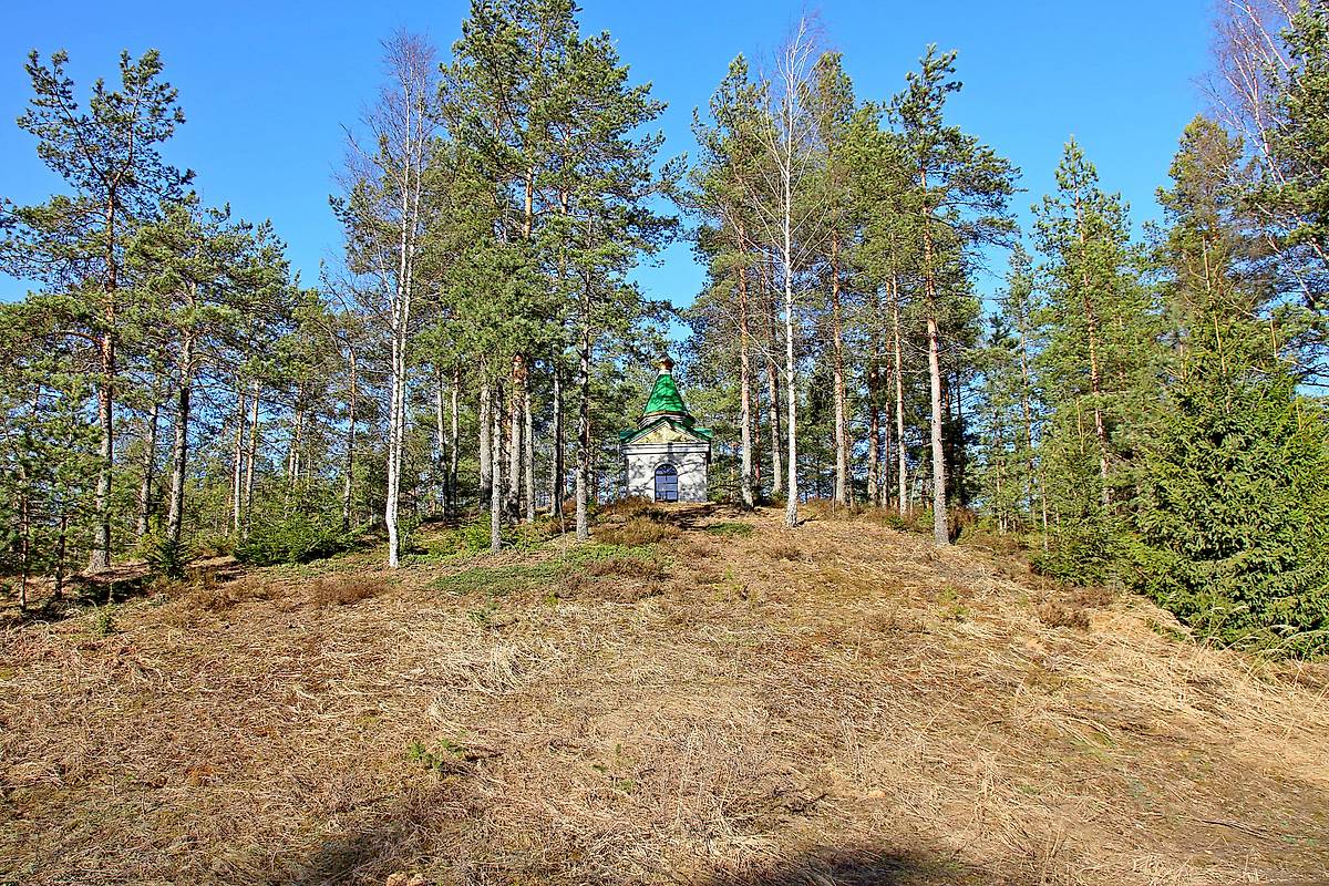 общий вид в ландшафте. Часовня Георгия Победоносца, Луга (Лужский район, Ленинградская область)