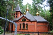Церковь Петра и Февронии, , Домодедово, Домодедовский городской округ, Московская область