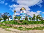 Боково-Платово. Александра Невского, церковь