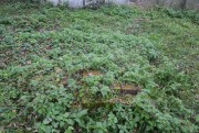 Церковь Покрова Пресвятой Богородицы, остатки фундамента на храмовом месте<br>, Середичи, Болховский район, Орловская область