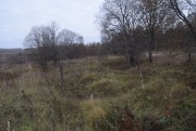 Церковь Введения во храм Пресвятой Богородицы, Храмовое место (вид с южной стороны)<br>, Алешня, Болховский район, Орловская область