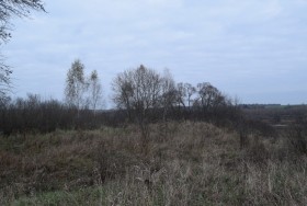 Алешня. Церковь Введения во храм Пресвятой Богородицы