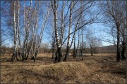 Церковь Георгия Победоносца - Старые Дольцы - Белёвский район - Тульская область