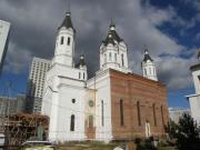 Церковь Александра Невского (строящаяся)