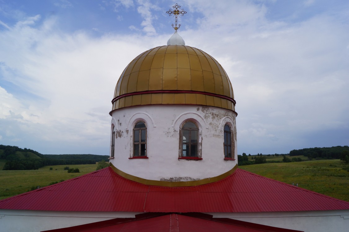Церковь Николая Чудотворца, Васильевка (Стерлибашевский район, Республика Башкортостан). архитектурные детали, Вид купола с колокольни.