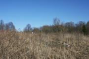 Церковь Рождества Пресвятой Богородицы, Вид на церковное место с юго-запада.<br>, Самуйлово, Гагаринский район, Смоленская область