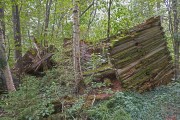 Старухино, урочище. Николая Чудотворца, церковь