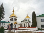 Онуфриевский Яблочинский монастырь. Церковь Онуфрия Великого, , Яблечна, Люблинское воеводство, Польша