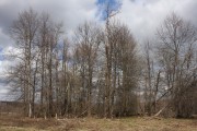 Церковь Преображения Господня, Вид на церковное место с юго-востока.<br>, Спас-Кузовы, Износковский район, Калужская область
