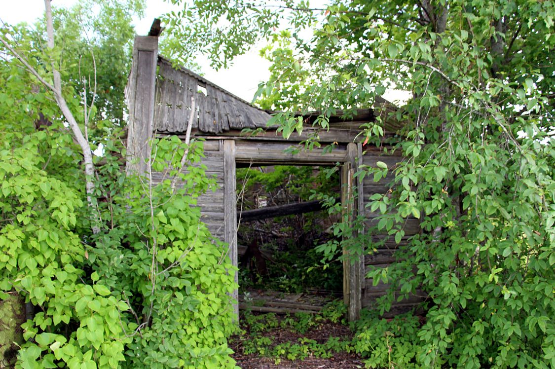 Церковь Вознесения Господня, Петрилово (Плюсский район, Псковская область). фасады