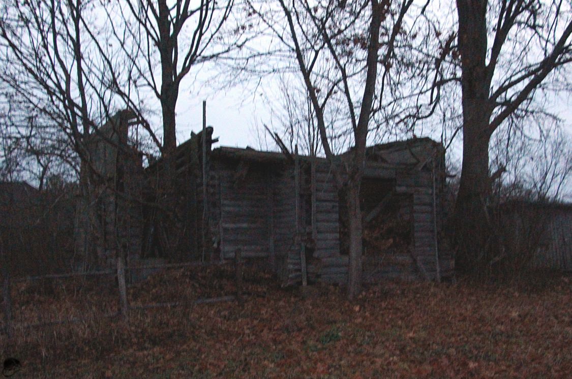 Церковь Вознесения Господня, Петрилово (Плюсский район, Псковская область). фасады