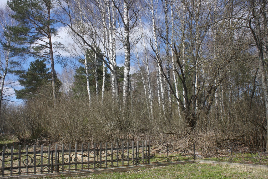 Николо-Лужецкое. Церковь Успения Пресвятой Богородицы. фасады, Вид на церковное место с юго-востока.