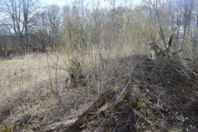 Вырск. Церковь Покрова Пресвятой Богородицы