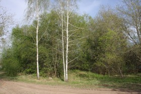 Полуэктово. Церковь Благовещения Пресвятой Богородицы