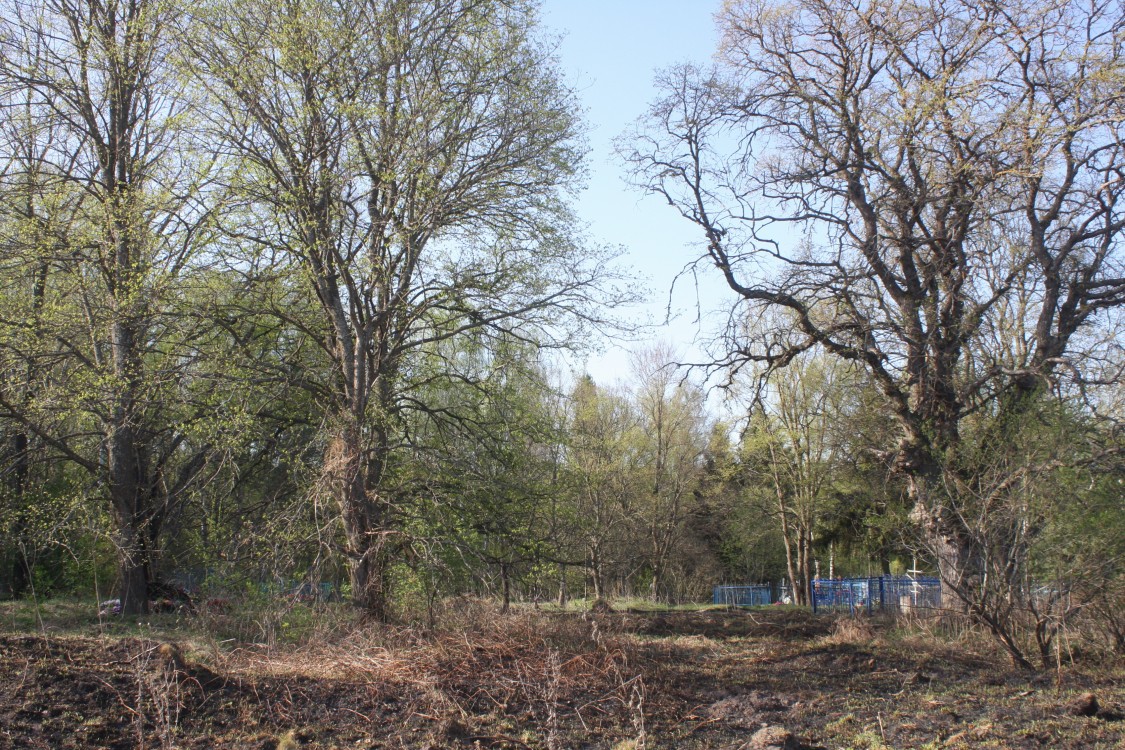 Церковь Никиты мученика, Песковатое (Белёвский район, Тульская область). дополнительная информация, Вид на церковное место с востока.