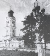 Церковь Успения Пресвятой Богородицы, Частная коллекция. Фото 1910-х годов<br>, Полново, Демянский район, Новгородская область