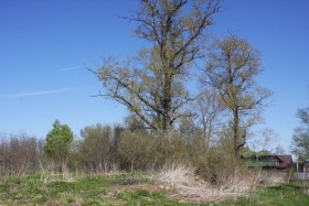 Старое Село (Борисовское с/п). Церковь Николая Чудотворца