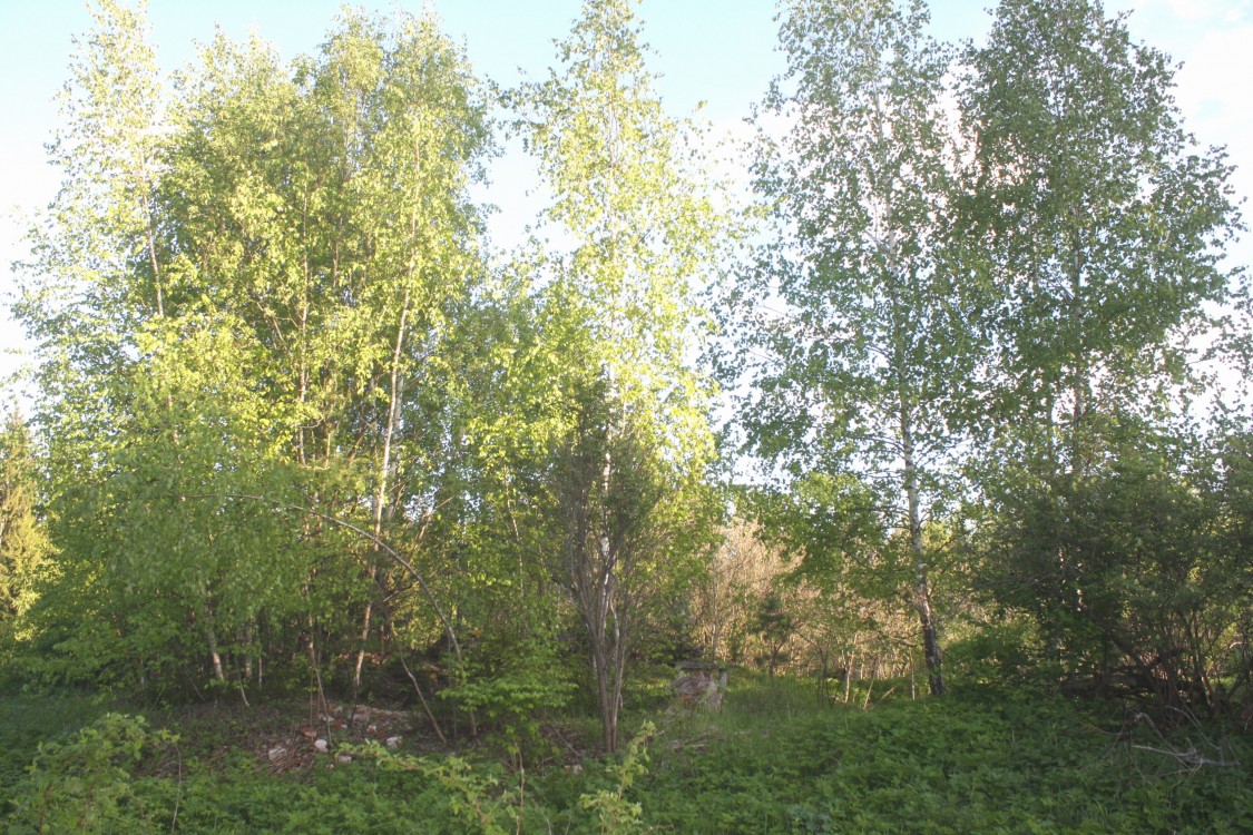 Церковь Александра Невского, Аббакумово (Рузский городской округ, Московская область). дополнительная информация, Вид на церковное место с севера.