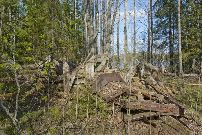 Церковь Троицы Живоначальной, Курженское озеро (Вытегорский район, Вологодская область). фасады, Руины Троицкой Куржинской (Курженской) церкви
