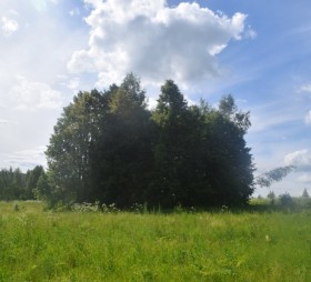 Руднево. Церковь Успения Пресвятой Богородицы