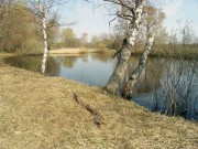 Церковь Николая Чудотворца, Прицерковный пруд<br>, Демидово, урочище, Нерехтский район, Костромская область