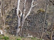 Монастырь Ркони, Остатки монастырских стен<br>, Ркони, Шида-Картли, Грузия