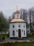 Спасо-Елеазаровский женский монастырь. Неизвестная часовня, , Елизарово, Псковский район, Псковская область
