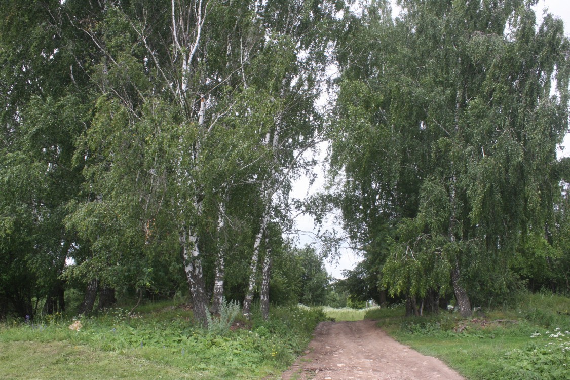 Церковь Покрова Пресвятой Богородицы, Пушкино (Алексин, город, Тульская область). дополнительная информация, Вид на церковное место с юга.