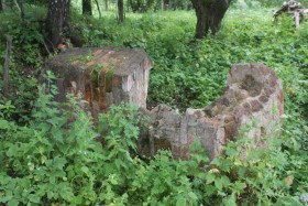 Пушкино. Церковь Покрова Пресвятой Богородицы