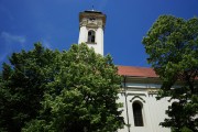 Церковь Трёх Святителей - Нови-Сад - АК Воеводина, Южно-Бачский округ - Сербия