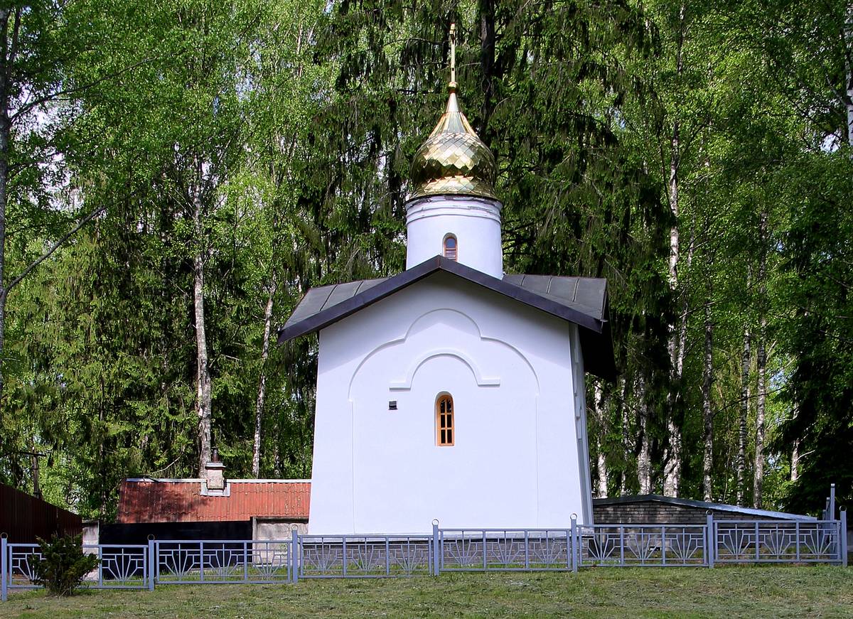 общий вид в ландшафте. Часовня Евфросина Псковского, Елизарово (Псковский район, Псковская область)