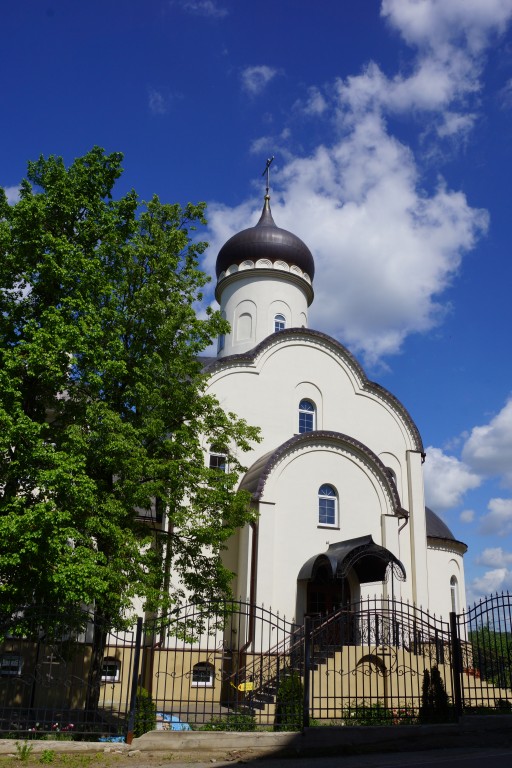 Зверосовхоз. Церковь Введения во храм Пресвятой Богородицы (новая). архитектурные детали