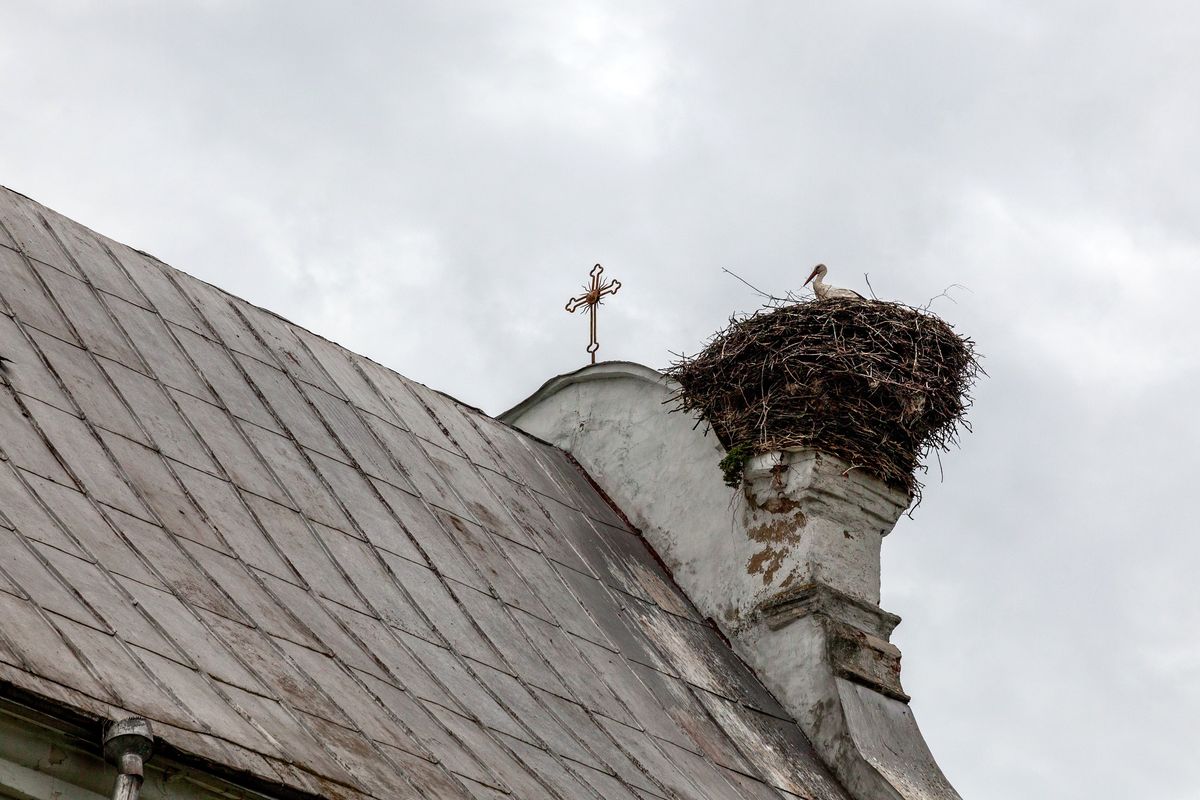 Церковь Успения Пресвятой Богородицы, Бусяжь (Ивацевичский район, Беларусь, Брестская область). архитектурные детали