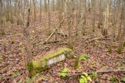 Церковь Покрова Пресвятой Богородицы, Виглино. Место храма и памятник А.П. Милюкову<br>, Виглино, Лесной район, Тверская область