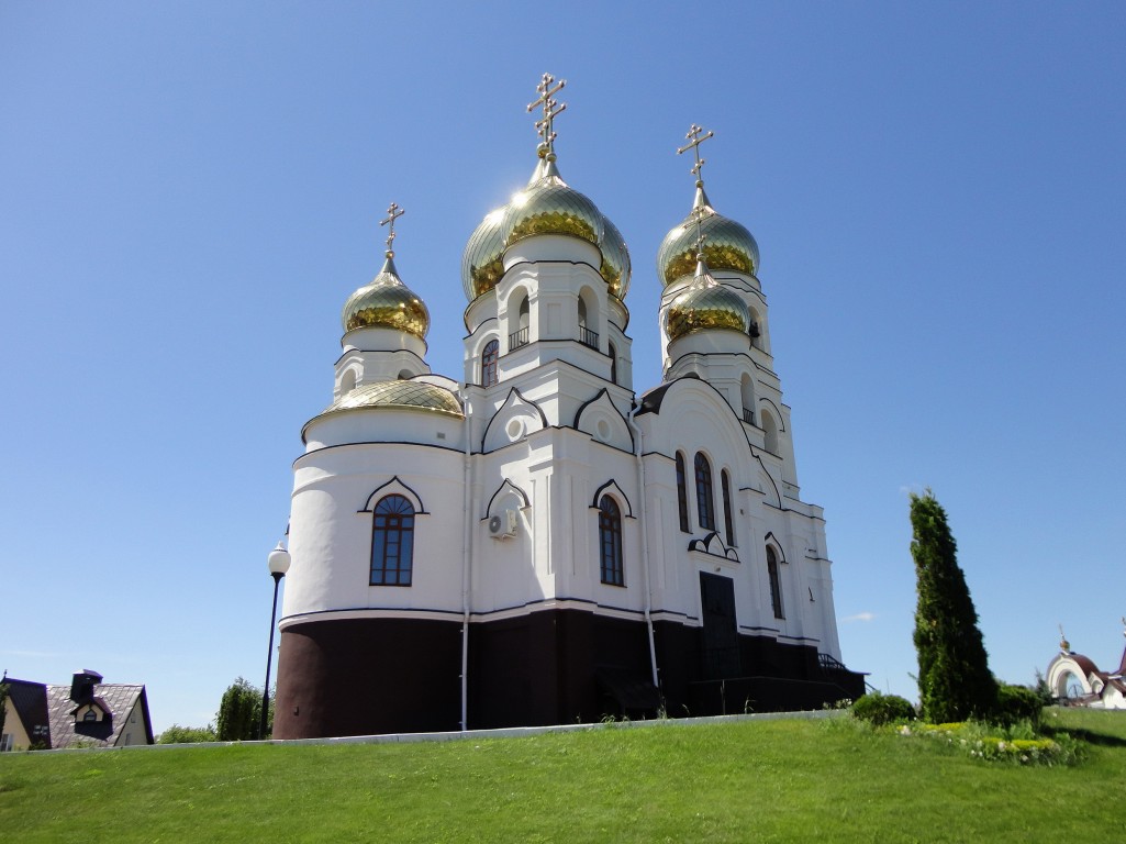 Иоанновский женский монастырь. Церковь Иоанна Кронштадтского, Алексеевка (Хвалынский район, Саратовская область). фасады