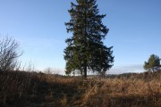 Неизвестная часовня - Бартеньево - Можайский городской округ - Московская область