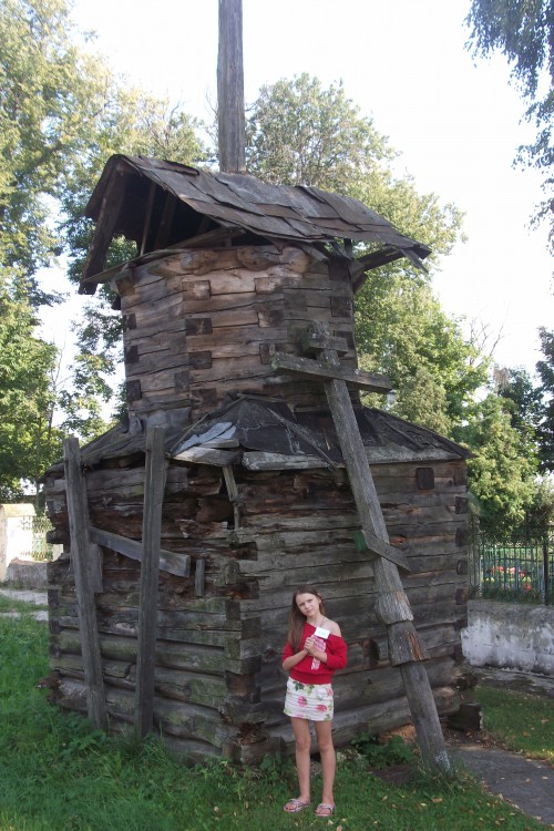 Церковь Вознесения Господня (старая), Воскресенское (Богородский городской округ, Московская область). фасады, главка старой церкви