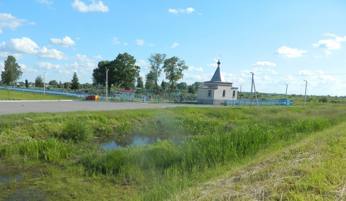 Часовня Бориса и Глеба, Туров (Житковичский район, Беларусь, Гомельская область). общий вид в ландшафте